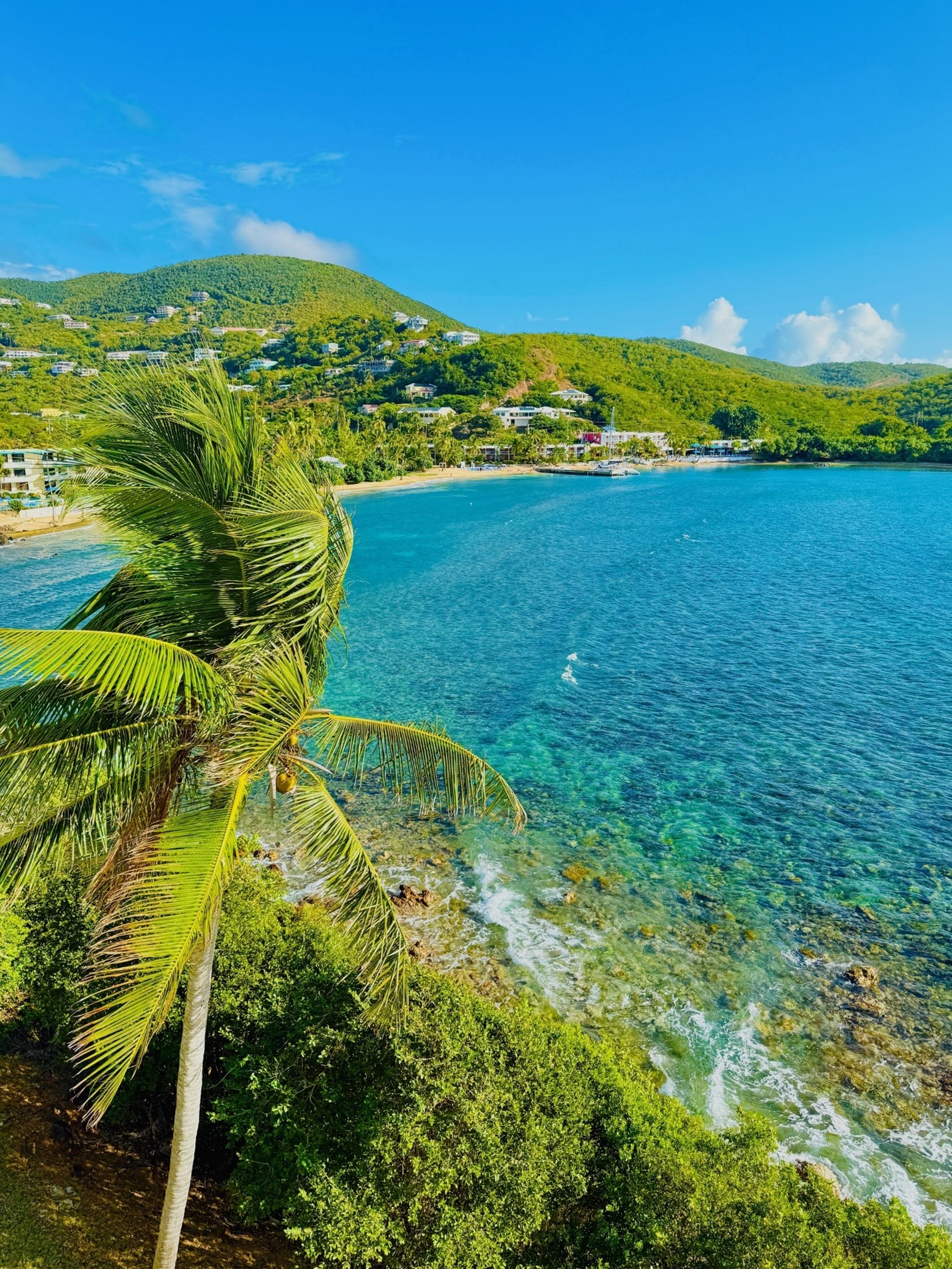 U.S. Virgin Islands National Park Biodiversity Hotspot