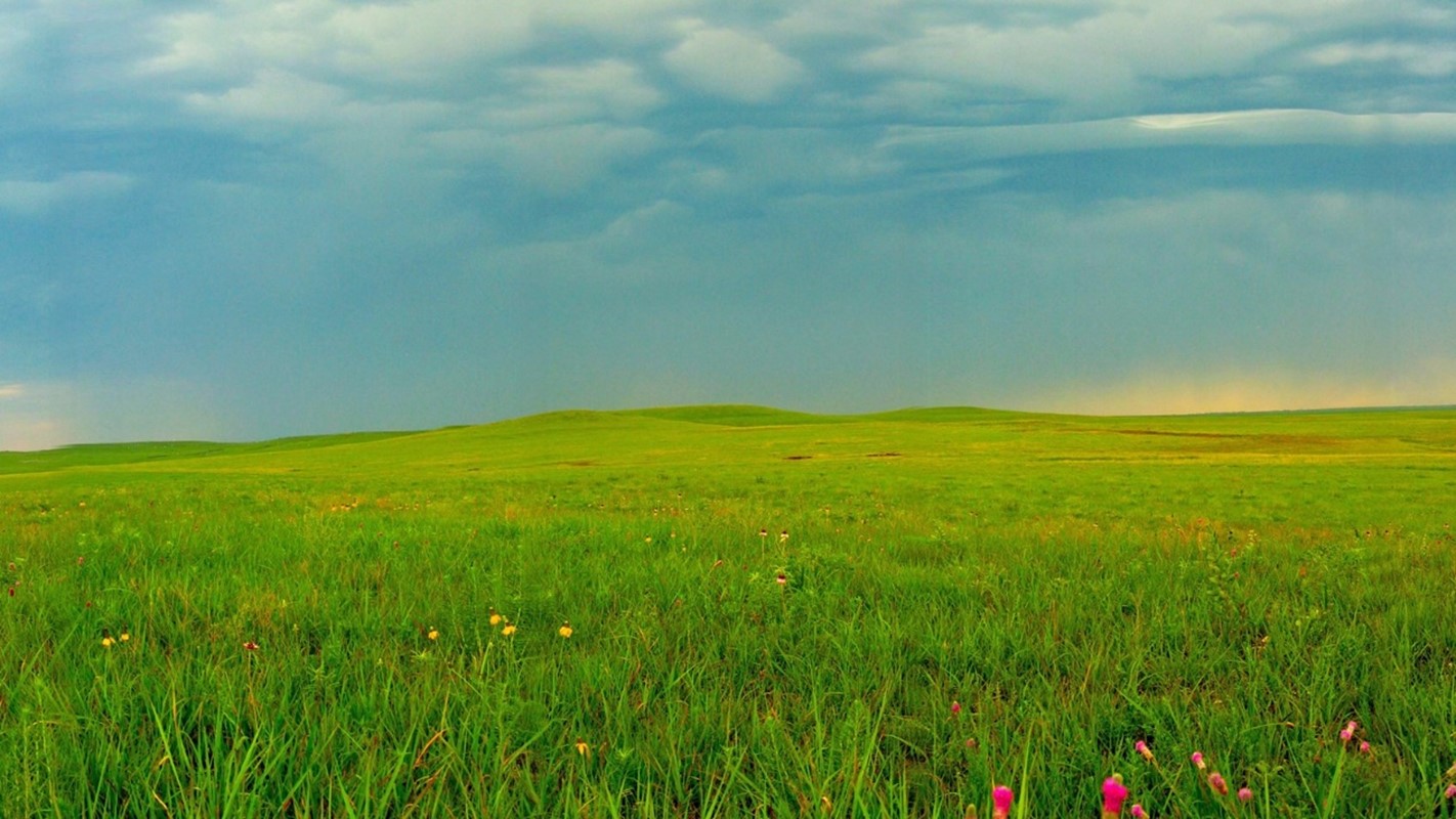 Tallgrass Prairie