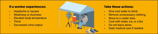 Worker Experiences and Actions