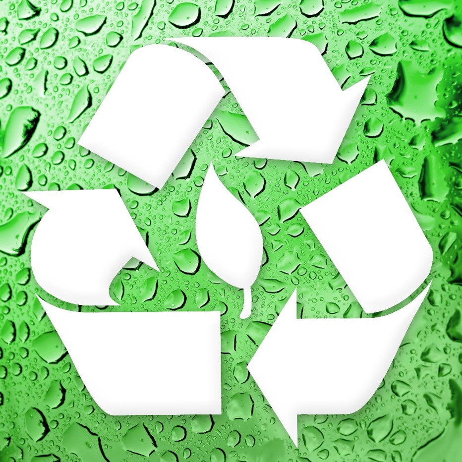 Mexico Environmental Impact