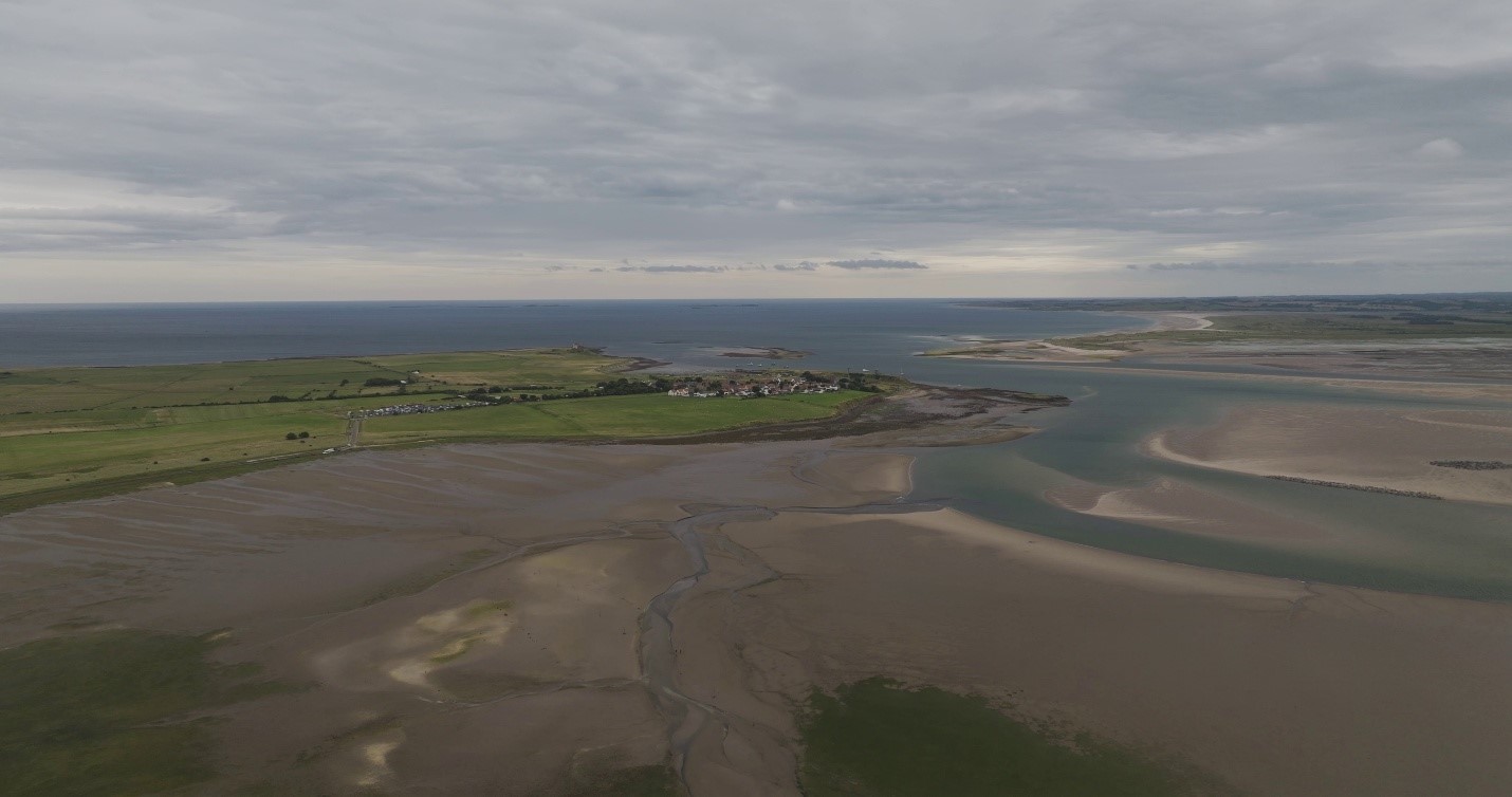 cleaner alternative to fossil fuels